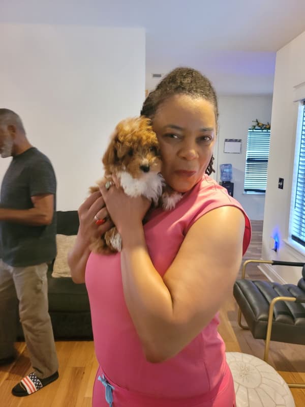 Customer photo of Poodle, Toy puppy from Vicky J.