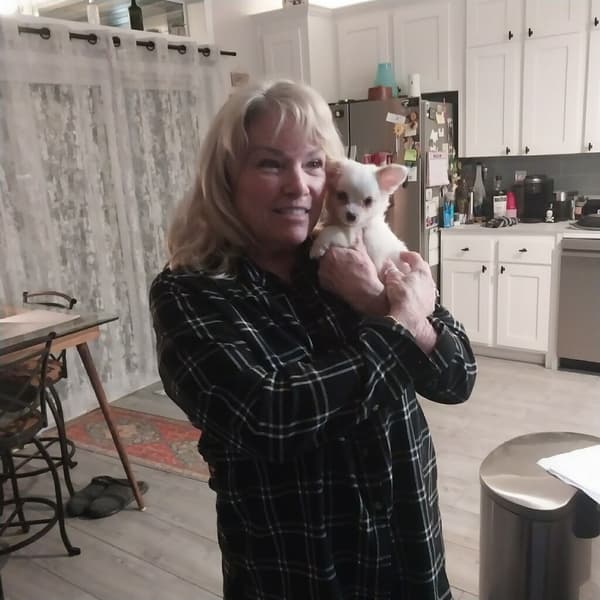 Customer photo of Chi-Poo - Chipoo puppy from Virginia K.