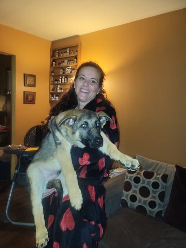 Customer photo of German Shepherd puppy from Denise C.