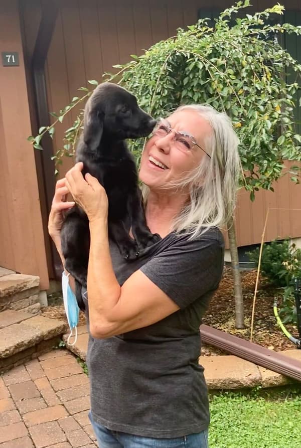 Customer photo of Labrador Retriever puppy from Sally H.