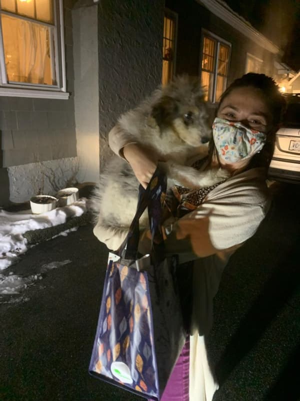 Customer photo of Aussiedoodle puppy from Tara M.