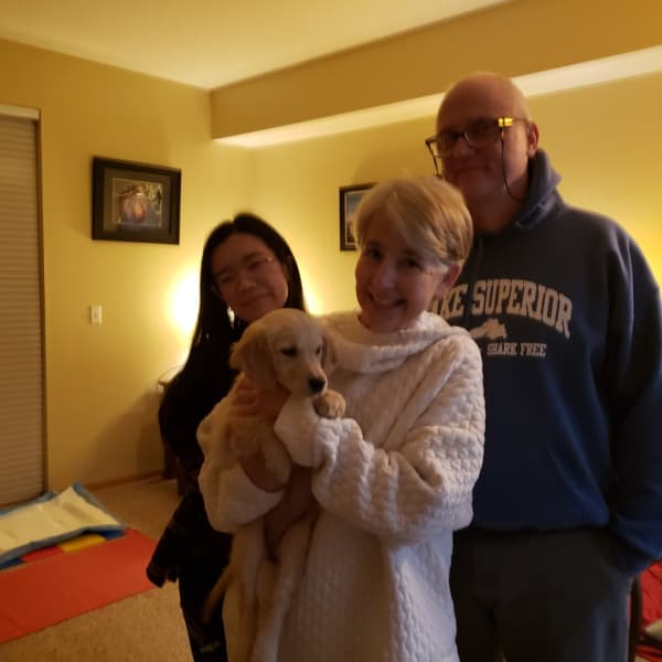 Customer photo of Golden Retriever puppy from Theresa S.