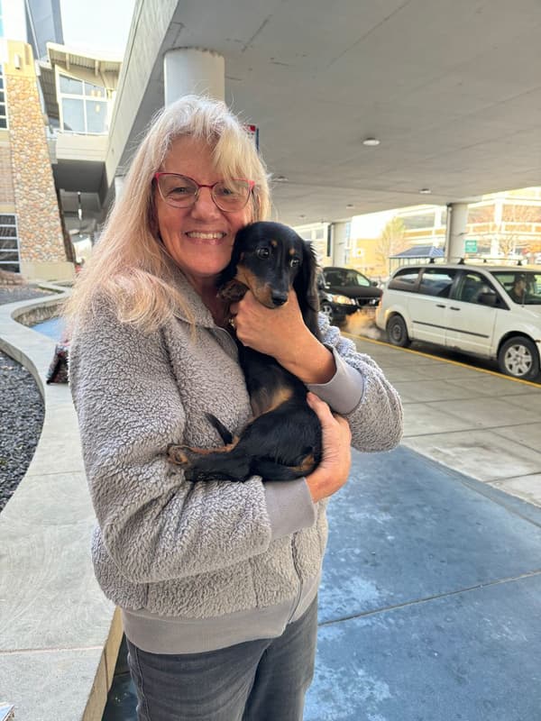 Customer photo of Dachshund, Mini puppy from Susan K.