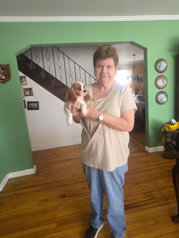 Customer photo of Cavalier King Charles Spaniel puppy from Donna D.