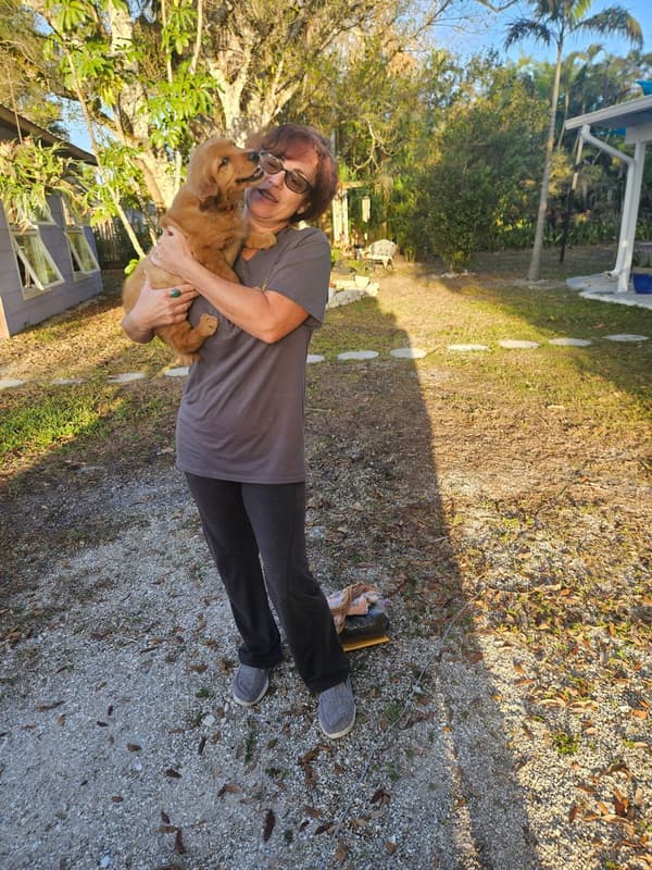 Customer photo of Golden Retriever puppy from Cristen I.