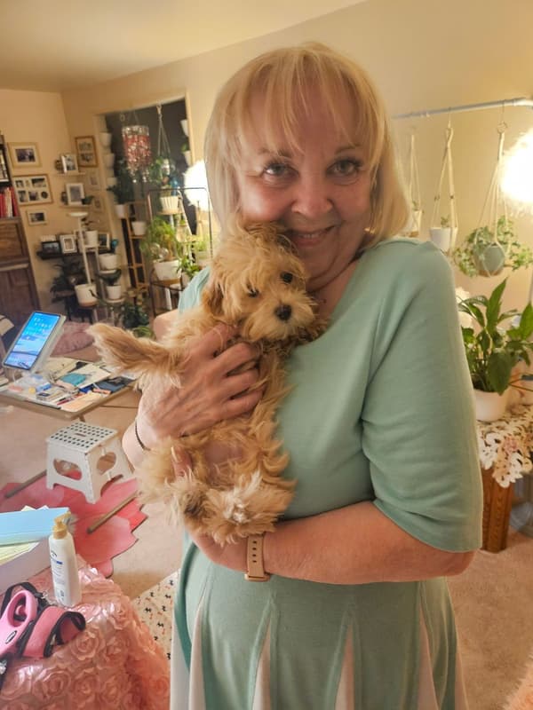 Customer photo of Malti Poo - Maltipoo puppy from Kathleen C.