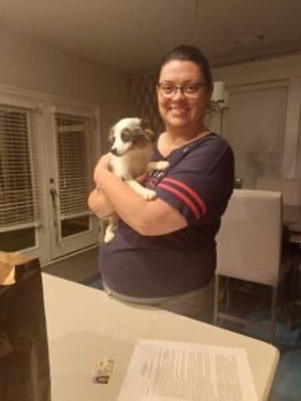 Customer photo of Miniature Australian Shepherd puppy from Reagan W.