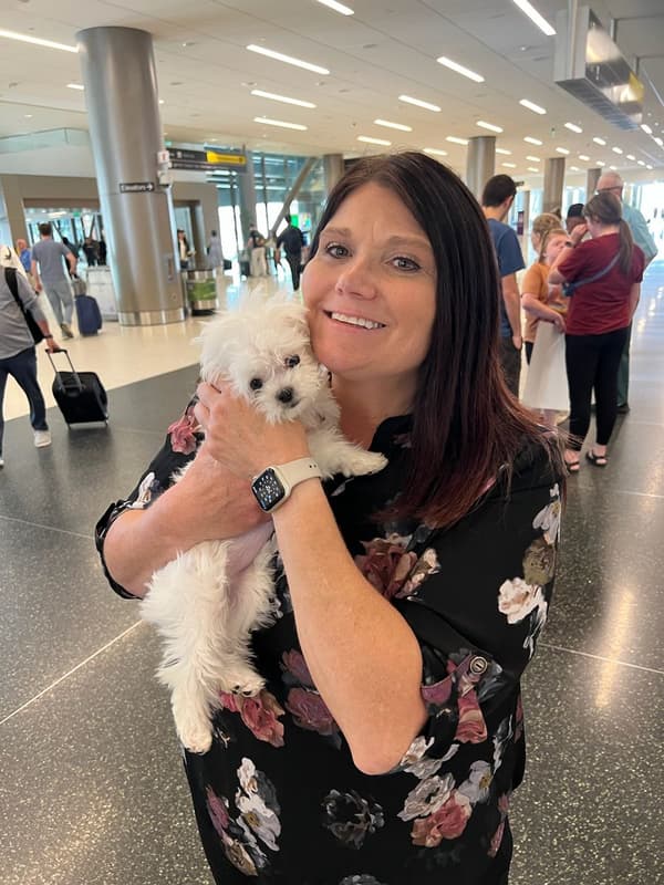 Customer photo of Maltese puppy from Amy T.