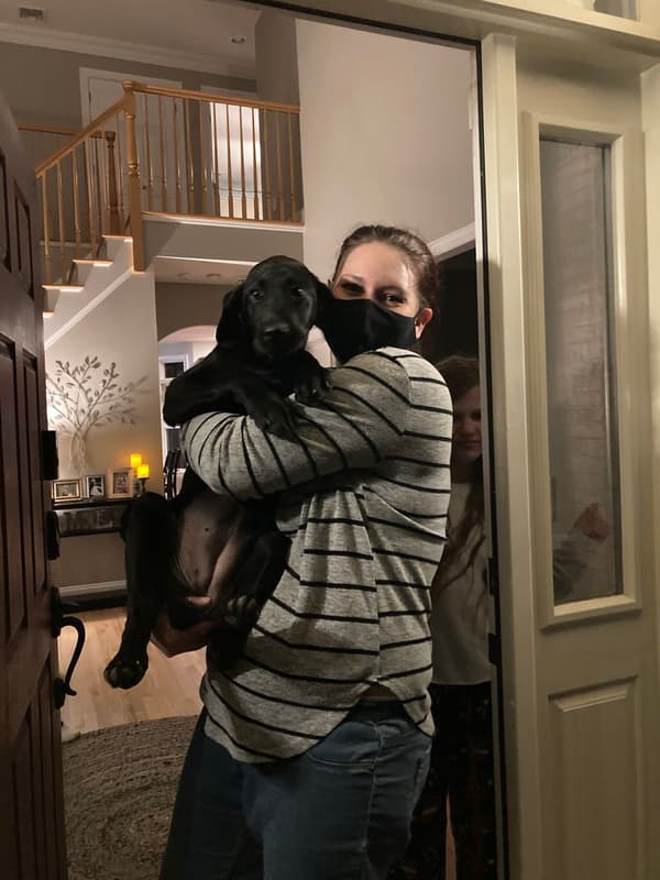 Customer photo of Labrador Retriever puppy from Melissa H.