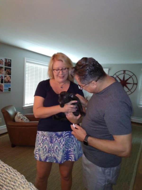 Customer photo of French Bulldog puppy from Doug D.