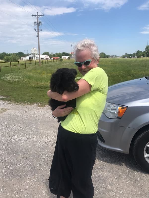 Customer photo of Mixed/Other puppy from Victoria G.