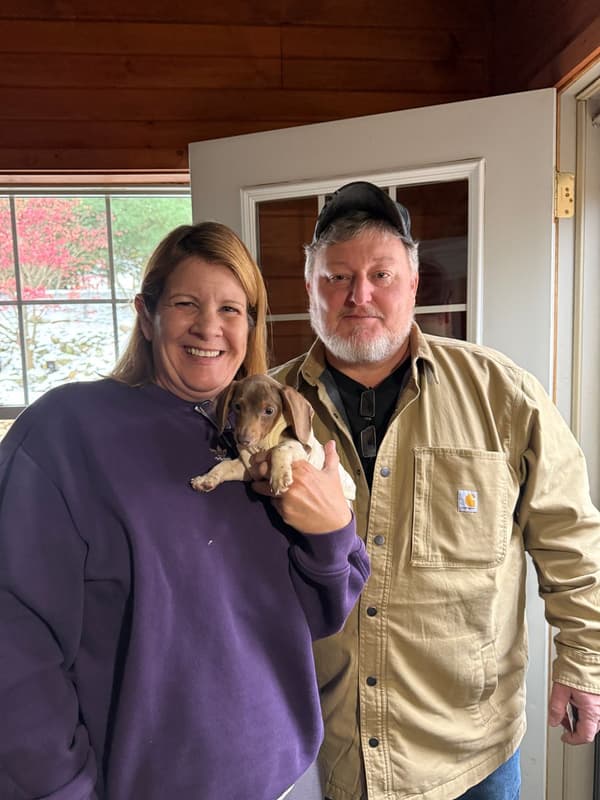 Customer photo of Dachshund, Mini puppy from Lisa N.