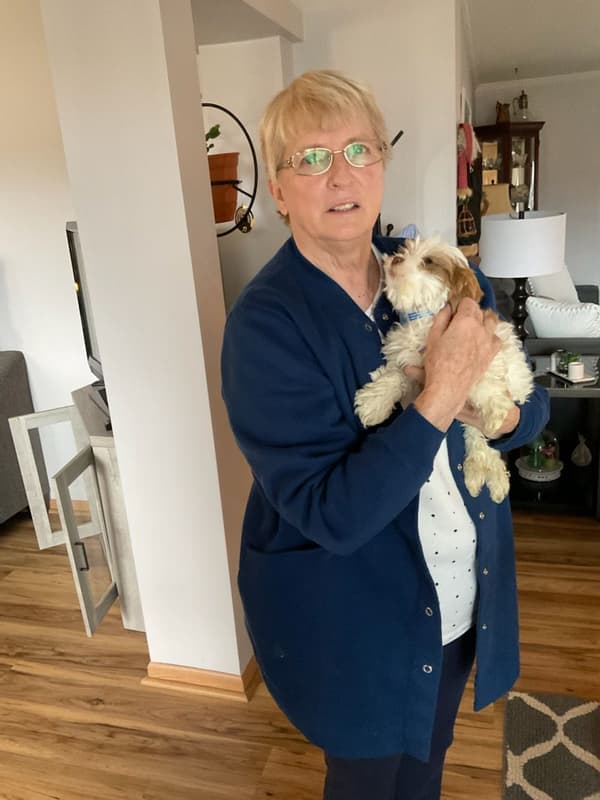 Customer photo of Shih-Poo - Shihpoo puppy from Maureen D.