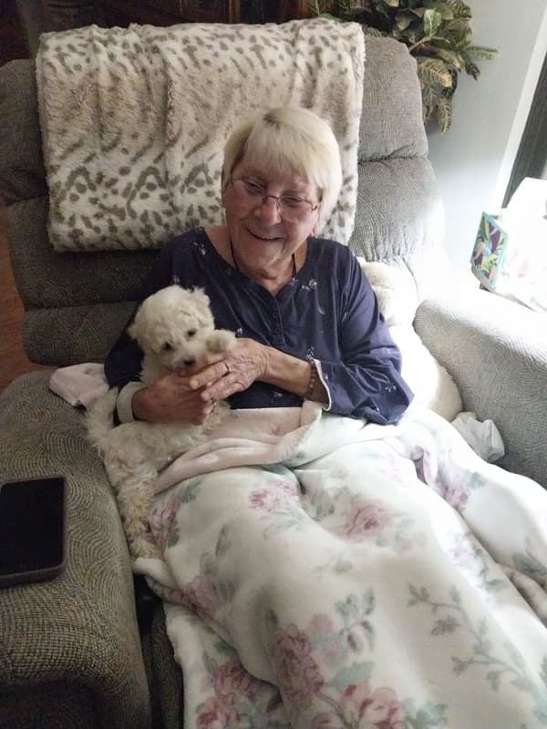 Customer photo of Bichon Frise puppy from Nancy K.