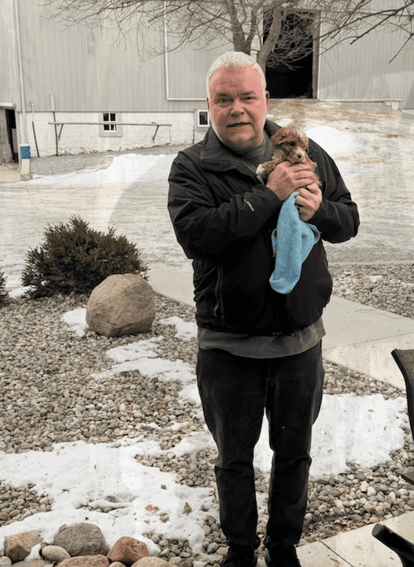 Customer photo of Goldendoodle, Mini puppy from Terry J.