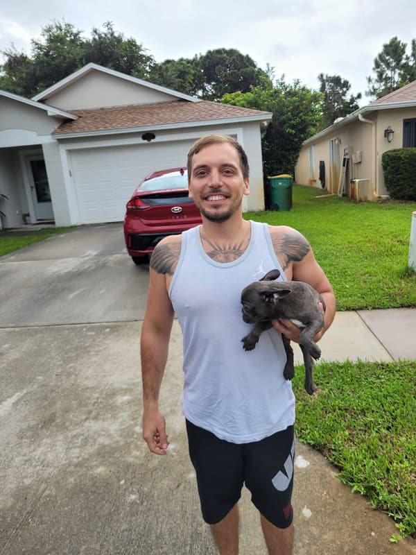 Customer photo of French Bulldog puppy from Mitchell W.