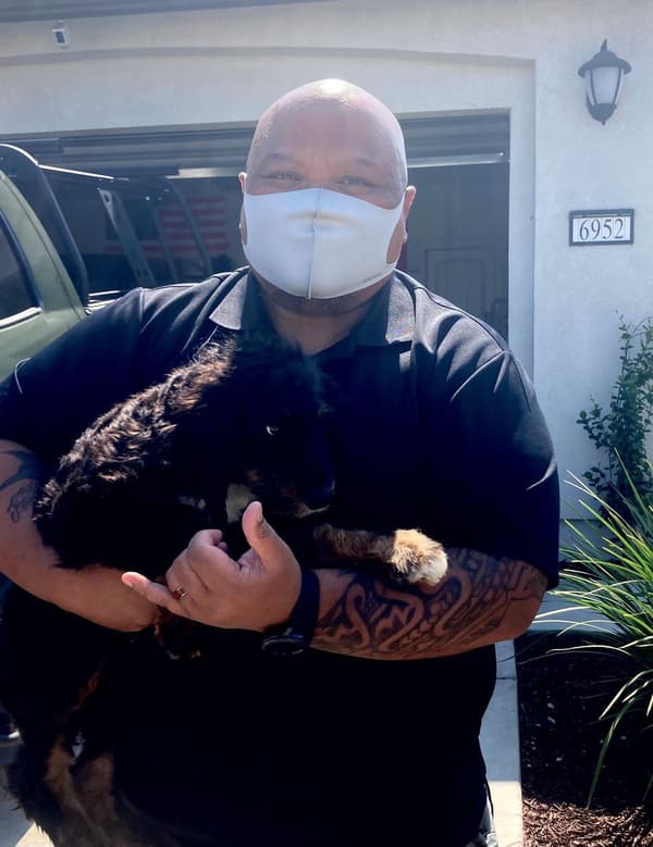 Customer photo of Bernedoodle, Mini puppy from Rick D.