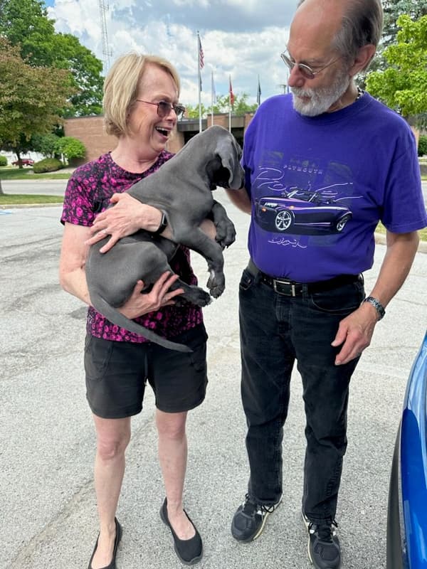 Customer photo of Great Dane puppy from Sue F.