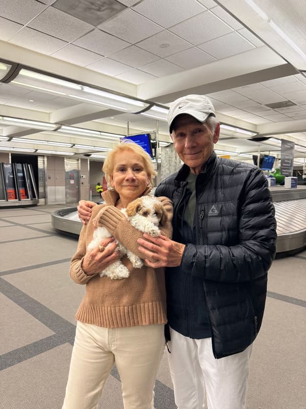 Customer photo of Poodle, Miniature puppy from Grace R.