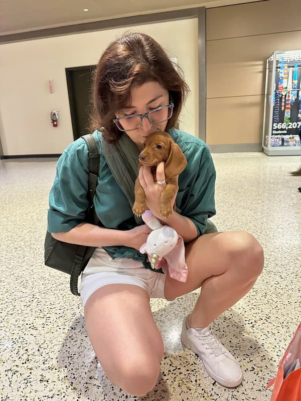 Customer photo of Dachshund, Mini puppy from Becca B.