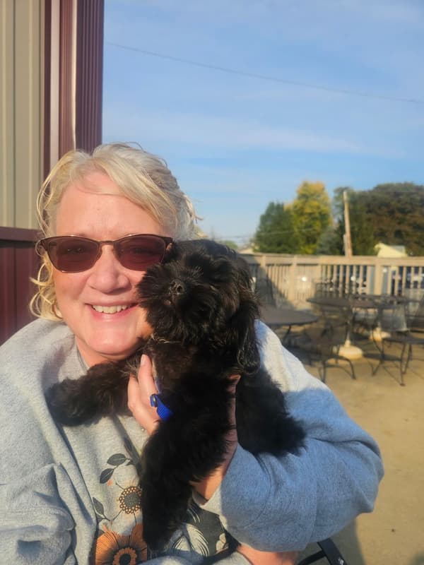 Customer photo of Shih Tzu puppy from Traci L.