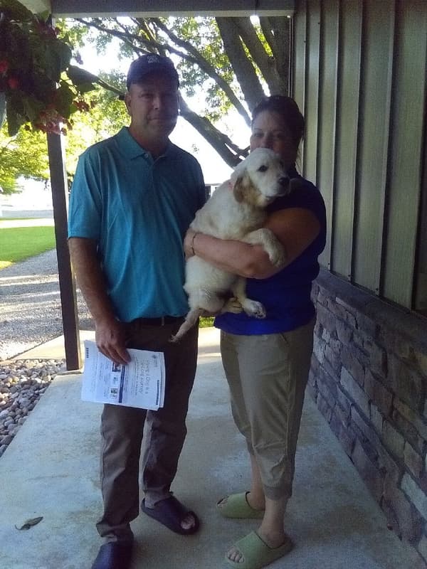 Customer photo of English Golden Retriever puppy from Robert W.