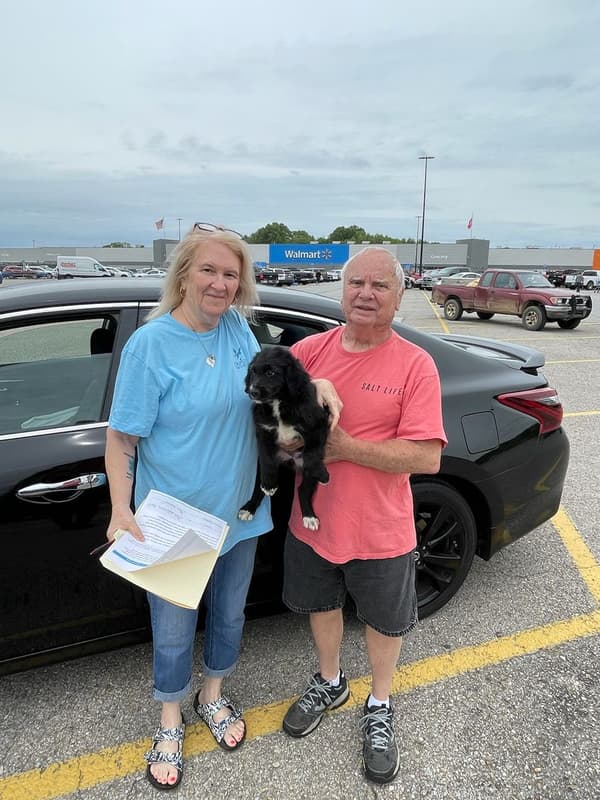 Customer photo of Aussiedoodle puppy from Donna T.