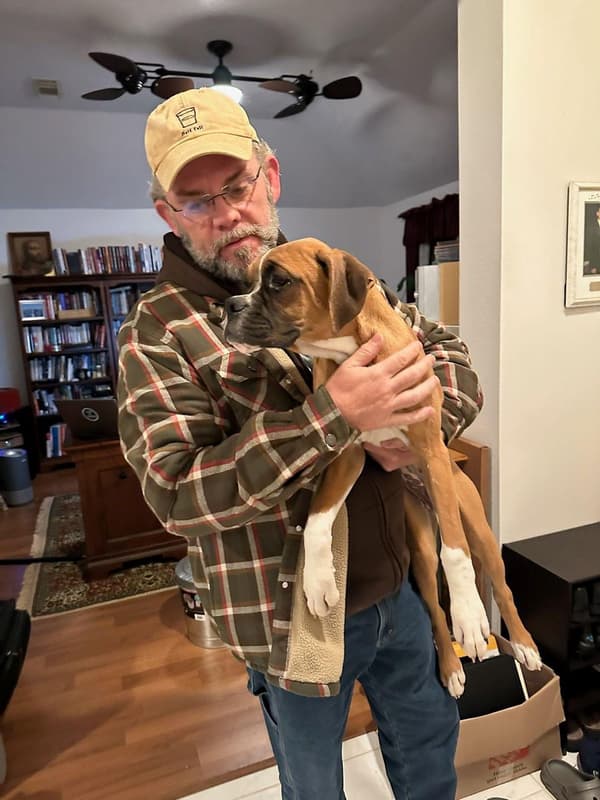 Customer photo of Boxer puppy from Keith H.