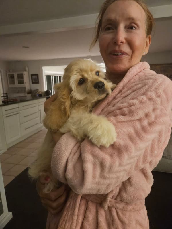 Customer photo of Cocker Spaniel puppy from Susan B.