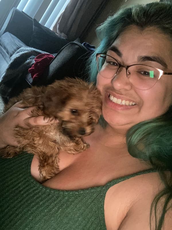 Customer photo of Yorkiepoo - Yorkie Poo puppy from Jolisa Z.