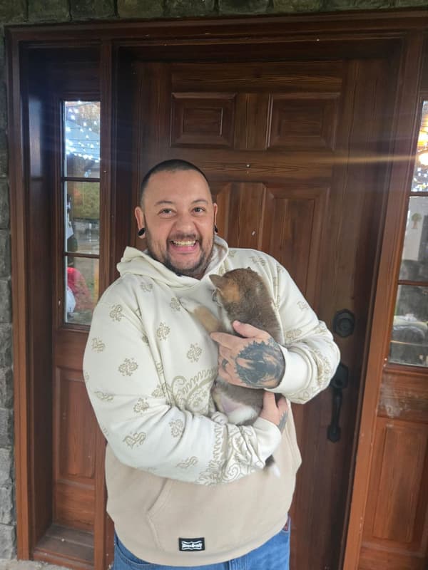 Customer photo of Shiba Inu puppy from Michelle H.