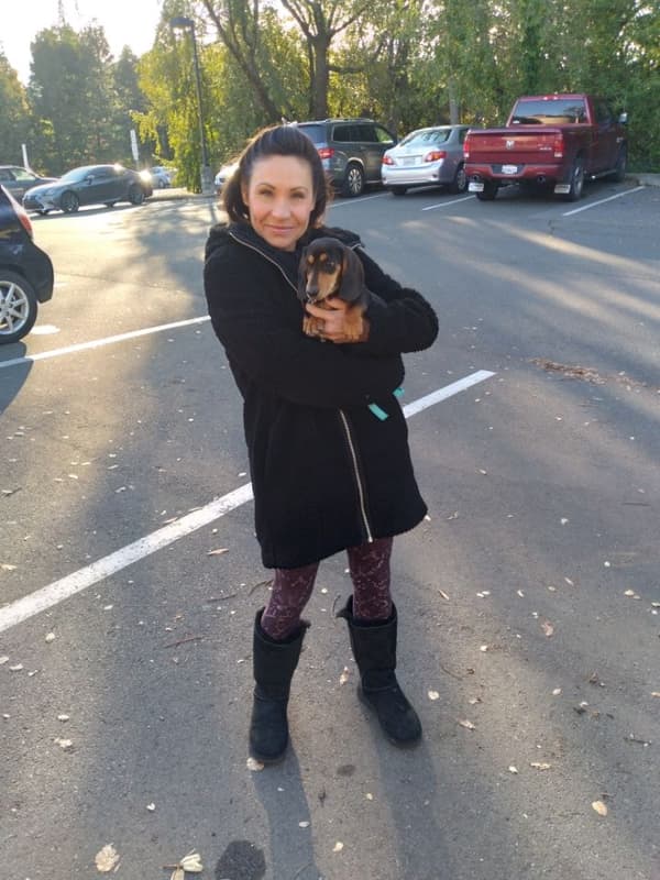 Customer photo of Dachshund, Mini puppy from Megan R.