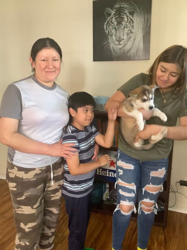 Customer photo of Siberian Husky puppy from Hector C.