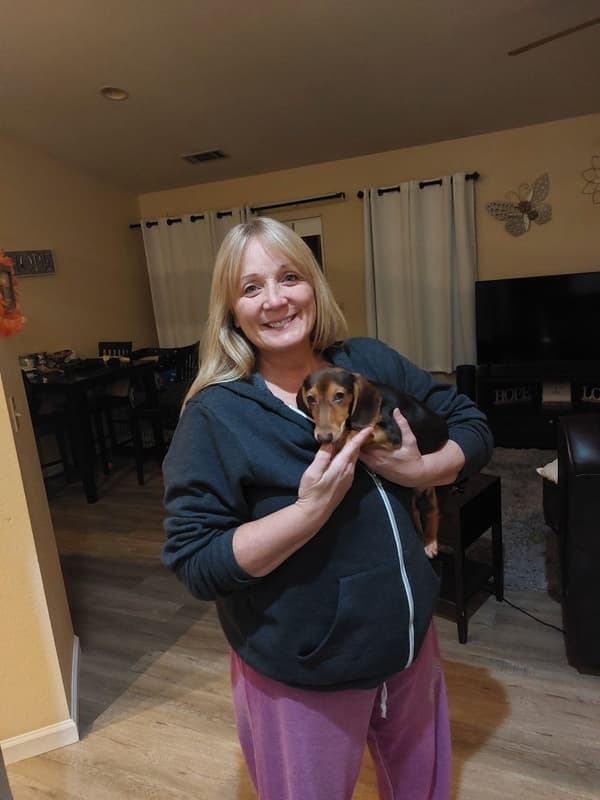 Customer photo of Dachshund, Tweenie puppy from Rebecca N.