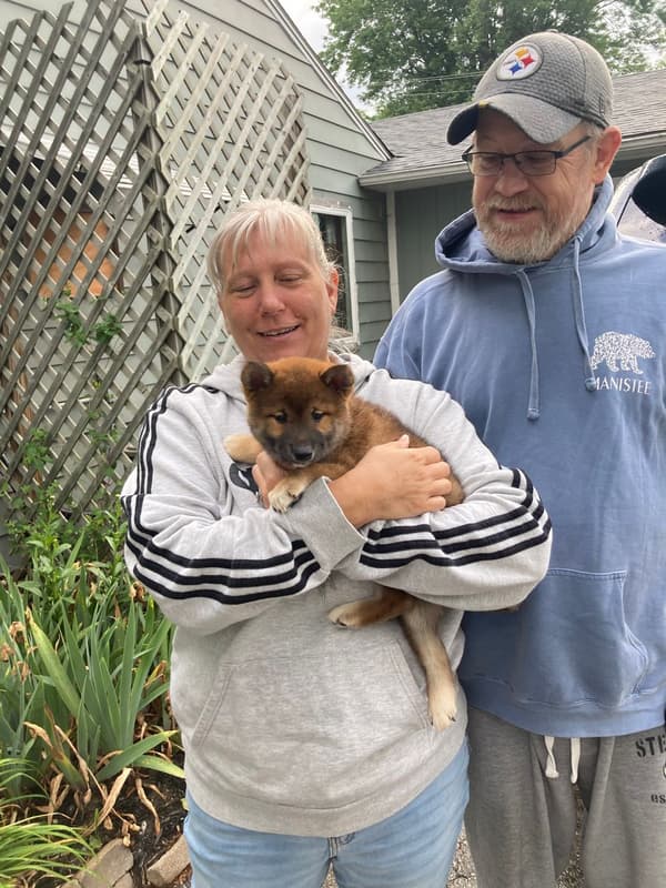 Customer photo of Shiba Inu puppy from Marie F.