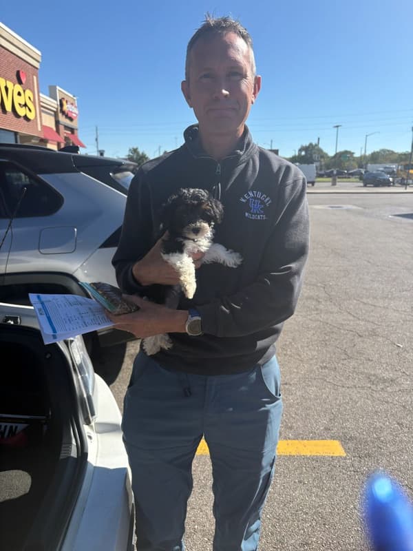 Customer photo of Yorkiepoo - Yorkie Poo puppy from Jeff. C.