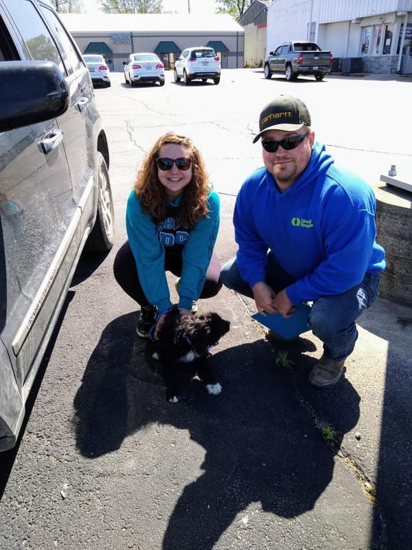 Customer photo of Aussiedoodle puppy from Josh P.