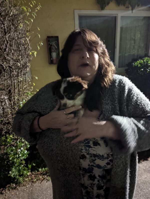 Customer photo of Miniature Australian Shepherd puppy from Warner R. 