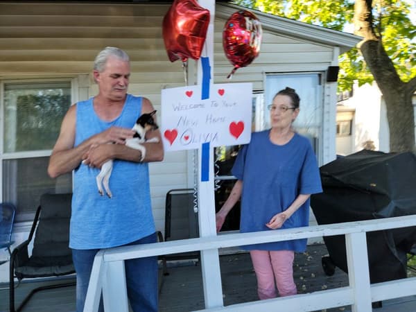 Customer photo of Fox Terrier, Toy puppy from Wendy M.