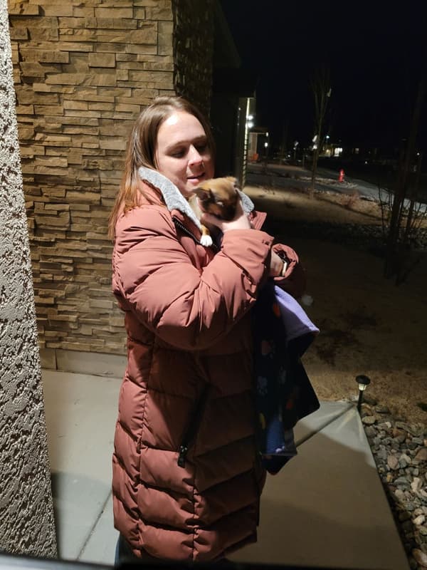 Customer photo of Chihuahua puppy from Jillian C.