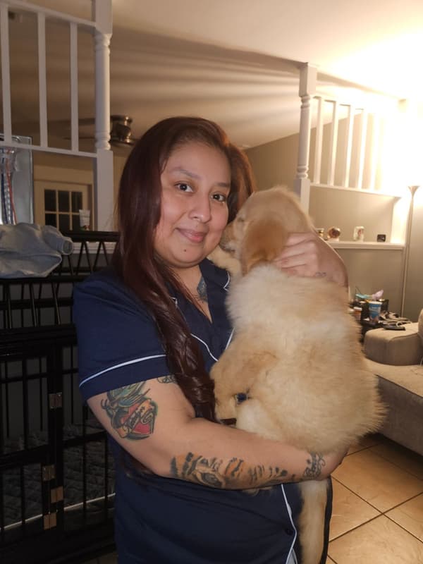 Customer photo of Golden Retriever puppy from Silvia T.