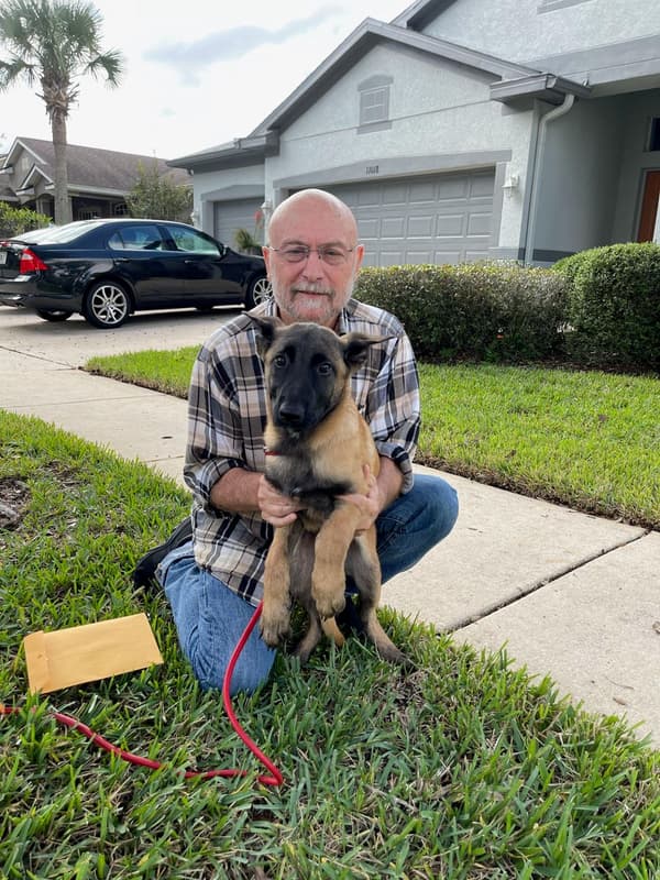 Customer photo of Belgian Malinois puppy from Albert B.