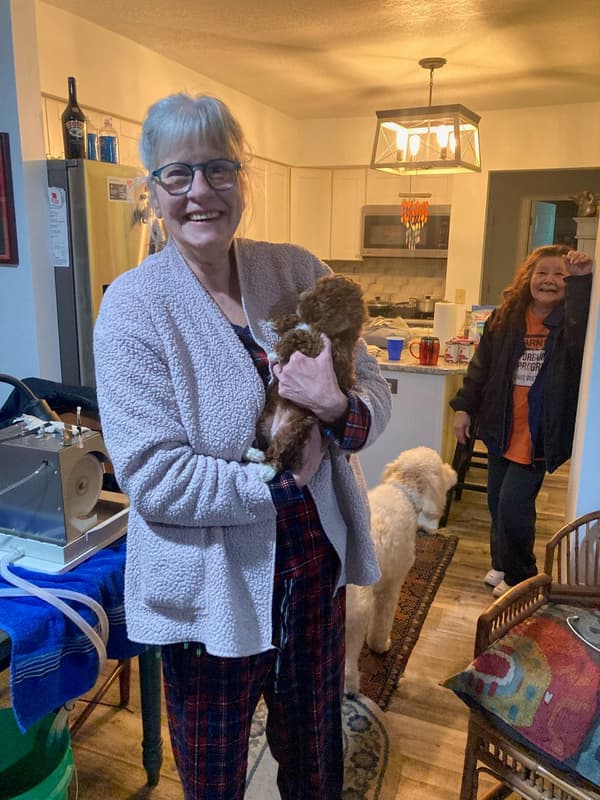 Customer photo of Cavapoo puppy from Kristy B.