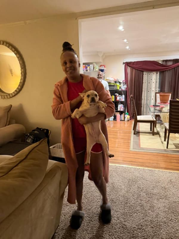 Customer photo of Frenchton puppy from Markita J.