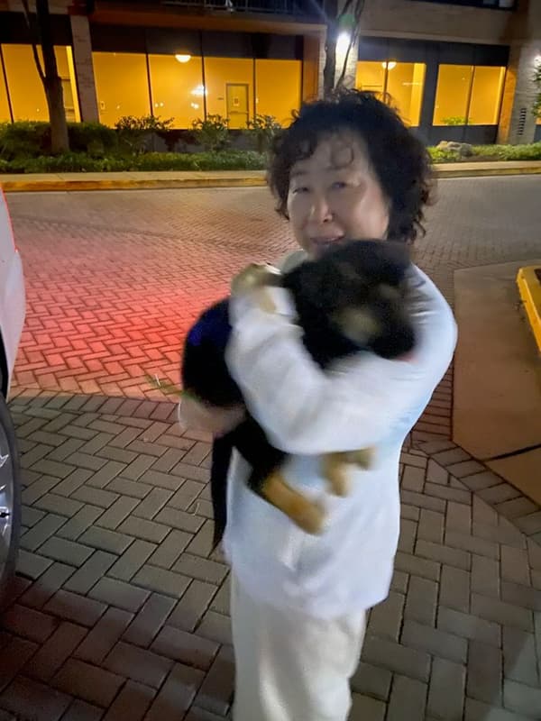 Customer photo of German Shepherd puppy from Misook H.