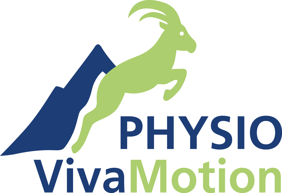 PhysioVivaMotion