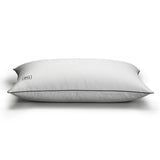 White Pillow Protector (2 Pack)