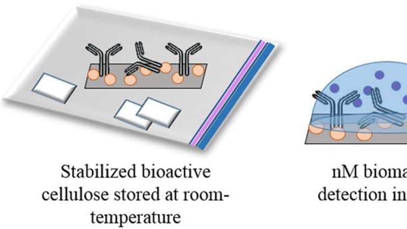 Detecting Biomarkers with Printable Paper Diagnostics