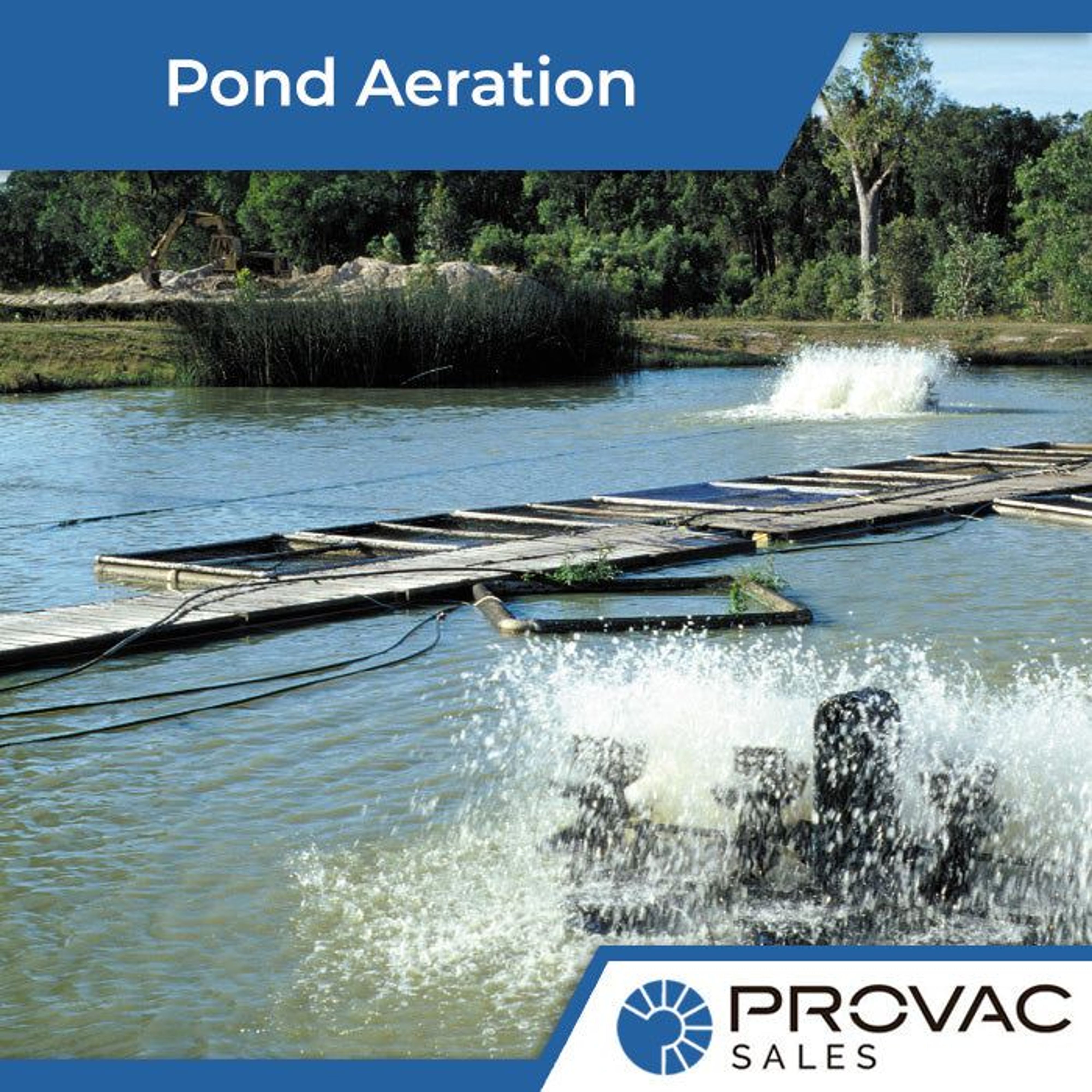 Prawn & Fish Pond Aeration, and How Vacuum Pumps Help Background