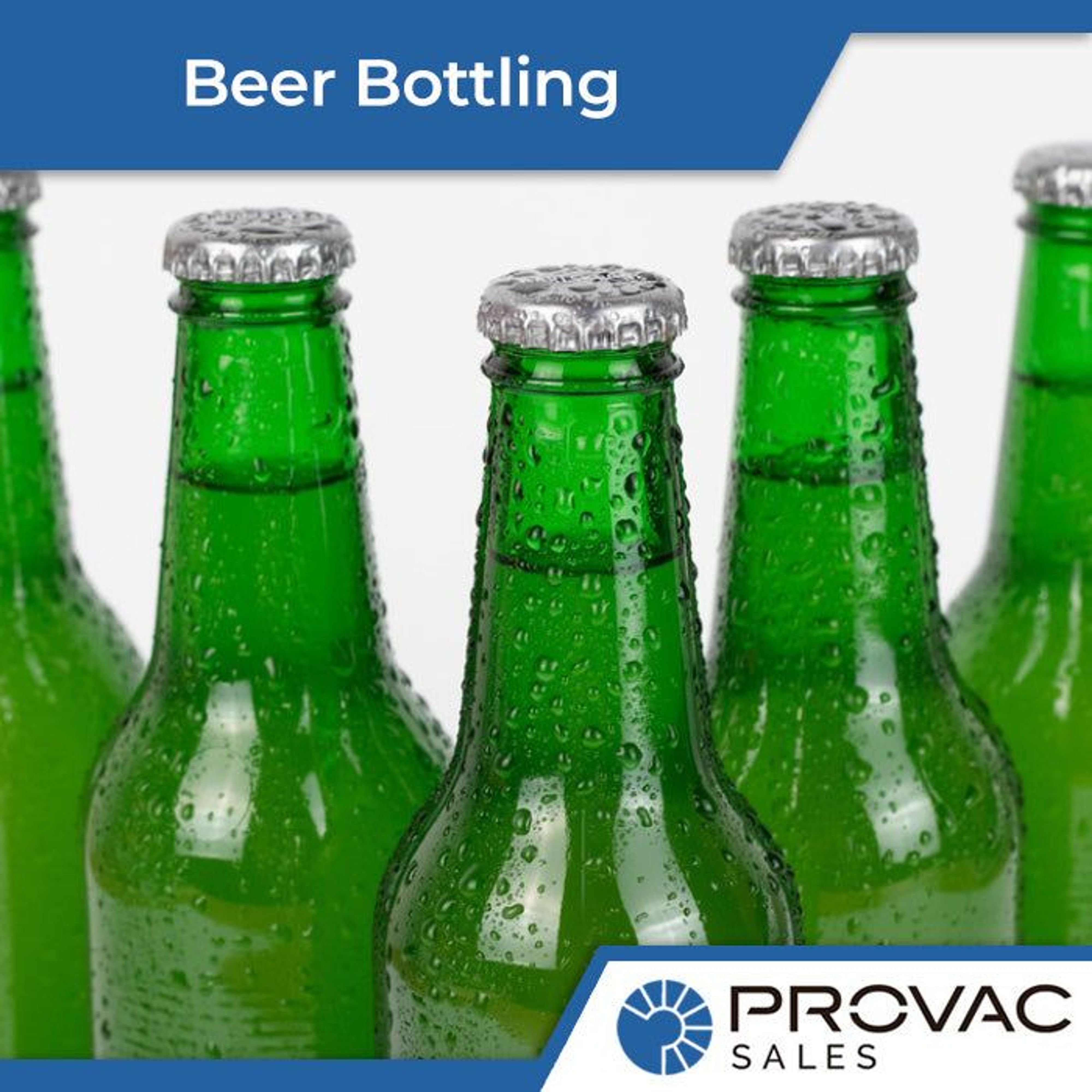 The Role of Liquid Ring Pumps in Beer Bottling Background